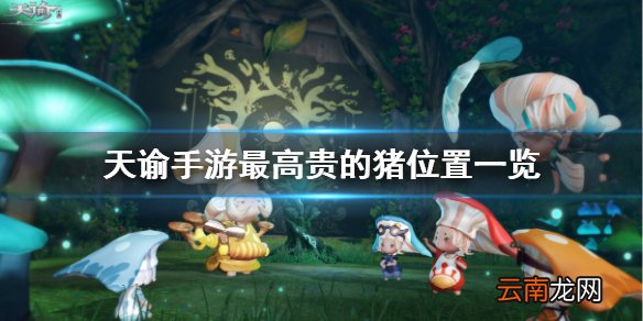 天谕手游最高贵的猪在哪 天谕手游最高贵的猪位置一览