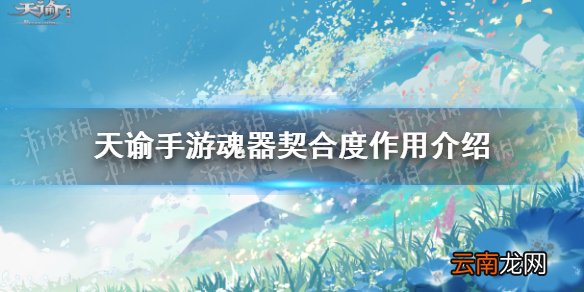 天谕手游魂器契合度有什么用 天谕手游魂器契合度作用介绍