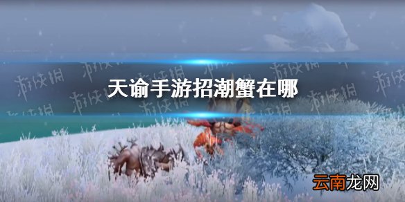 天谕手游招潮蟹在哪 天谕招潮蟹特殊个体坐标