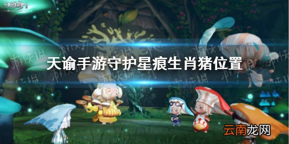 天谕手游守护星痕猪在哪里 天谕手游生肖猪星痕位置介绍