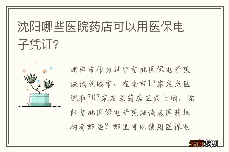 沈阳哪些医院药店可以用医保电子凭证？