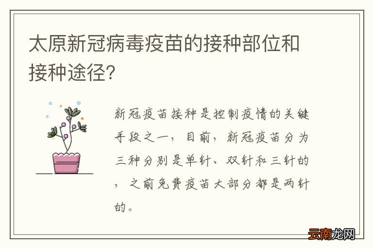 太原新冠病毒疫苗的接种部位和接种途径？
