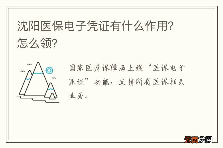 沈阳医保电子凭证有什么作用？怎么领？