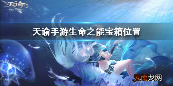 天谕手游生命之能宝箱 天谕手游生命值能宝箱位置一览