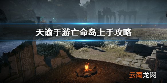 天谕手游亡命岛 天谕手游亡命岛玩法技巧一览