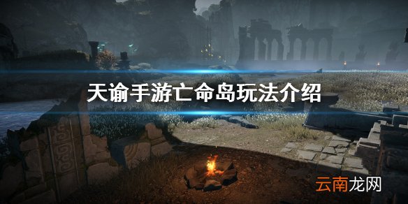 天谕手游亡命岛 天谕手游亡命岛玩法介绍