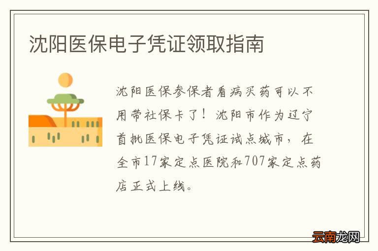 沈阳医保电子凭证领取指南