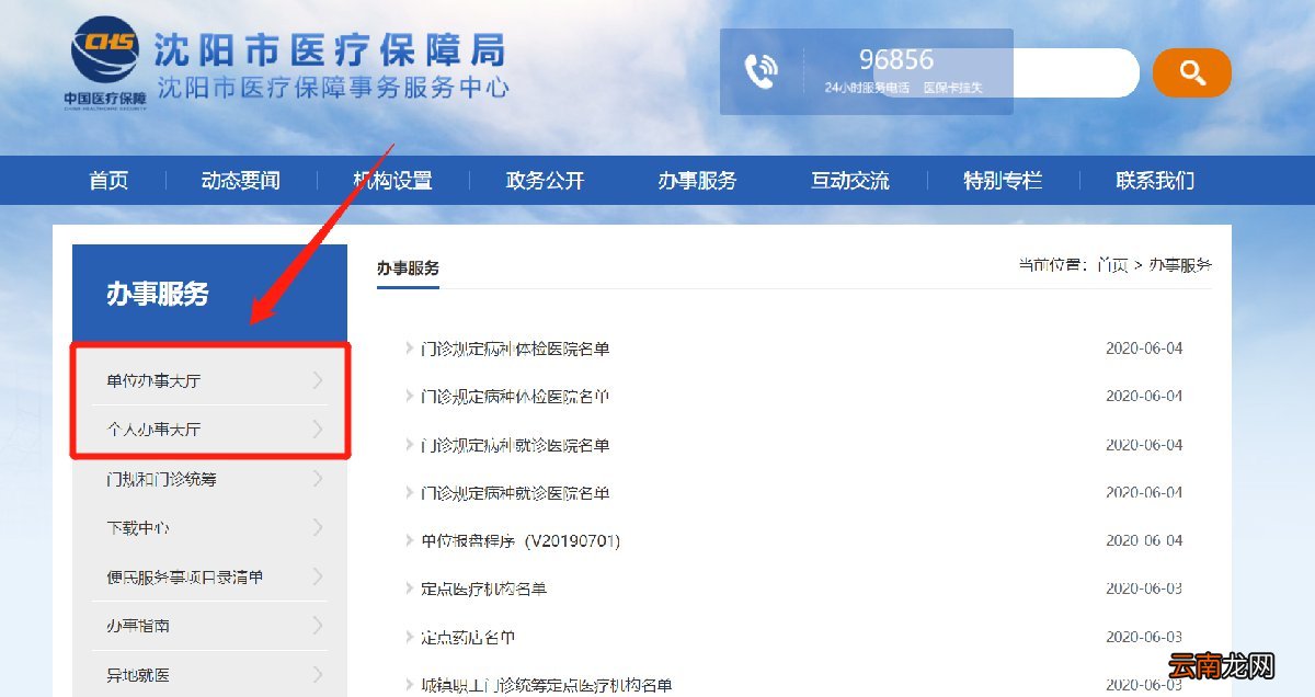 沈阳医保网上查询指南