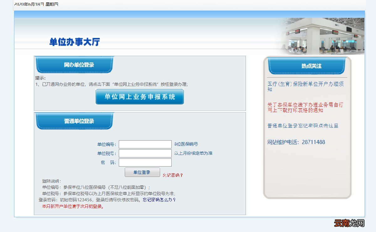 沈阳医保网上查询指南