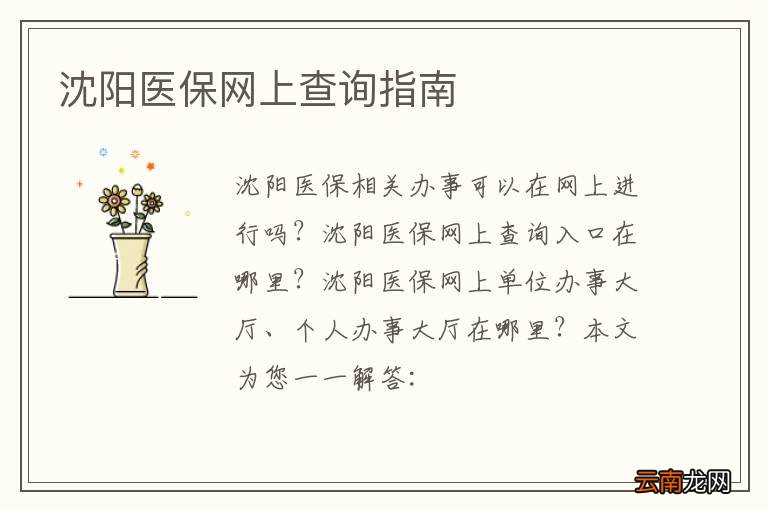 沈阳医保网上查询指南