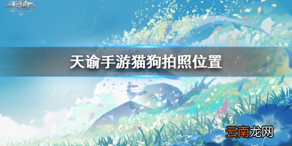 天谕手游猫狗在哪 天谕手游猫狗拍照任务攻略