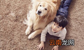 如何爱自己的狗狗 怎么爱狗狗