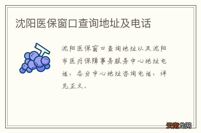 沈阳医保窗口查询地址及电话