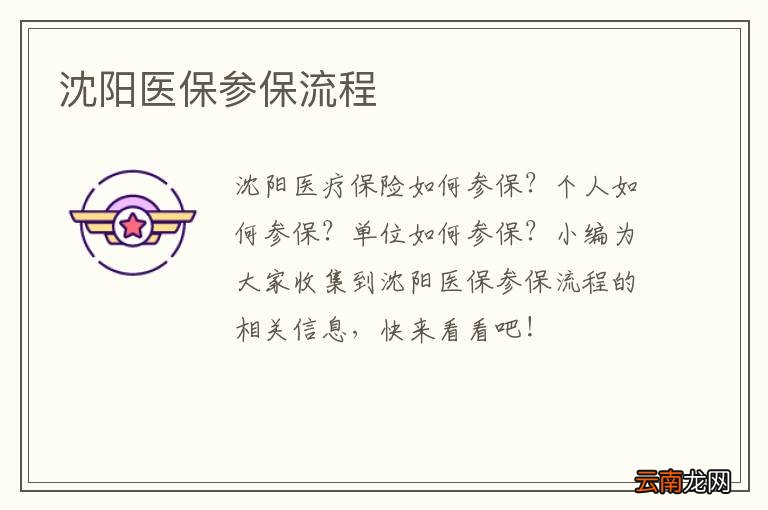 沈阳医保参保流程