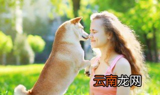 如何让狗狗保持健康体重 让狗狗保持健康体重方法