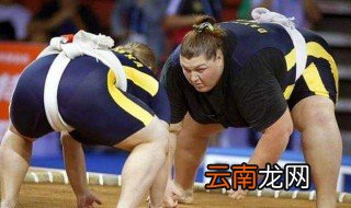 日本相扑是什么意思 什么是日本相扑