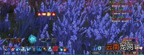 天谕手游瑰宝阁在哪 天谕手游瑰宝阁位置介绍