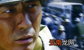 西河市林书记是什么电视剧 给大家介绍一下