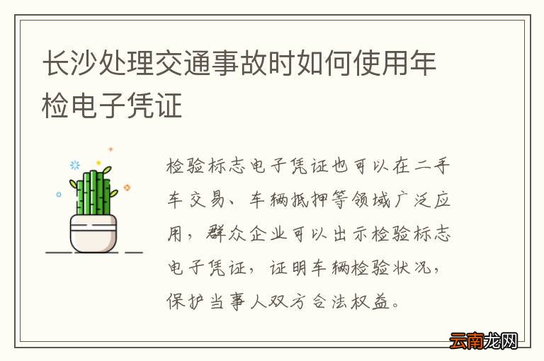 长沙处理交通事故时如何使用年检电子凭证