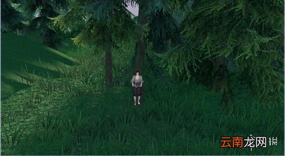 天谕手游你看不见我任务 天谕手游影遁腰牌获取方式一览