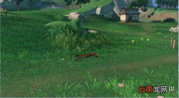 天谕手游你看不见我任务 天谕手游影遁腰牌获取方式一览