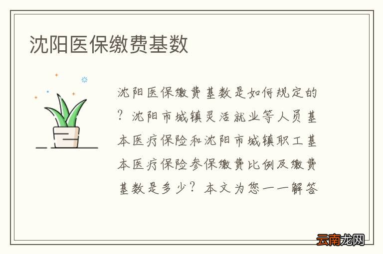 沈阳医保缴费基数