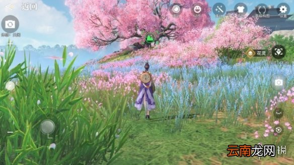 天谕手游冒险家协会景点有哪些 天谕手游冒险家协会风景点拍照位置大全