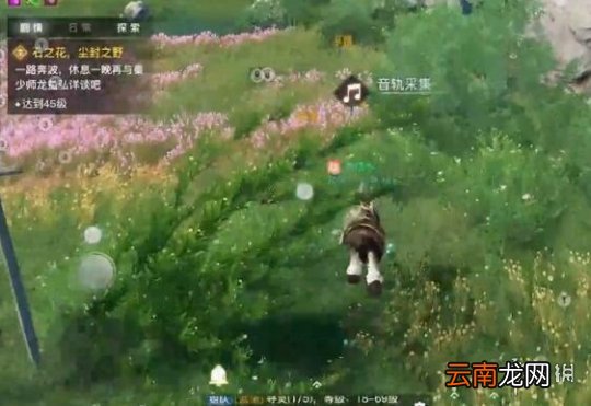 天谕手游课堂展示二昆虫的声音怎么获取 天谕手游课堂展示二昆虫的声音获取方式一览