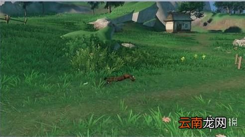 天谕手游你看不见我任务怎么做 天谕手游你看不见我任务攻略