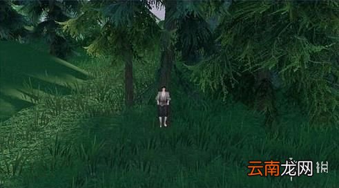 天谕手游你看不见我任务怎么做 天谕手游你看不见我任务攻略