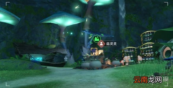 天谕星茸之森景点一览 天谕手游星茸之森美景入册景点坐标