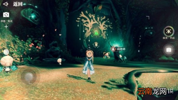 天谕手游拍照风景点有哪些 天谕手游美景入册风景点位置大全_星茸之森篇