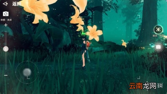 天谕手游拍照风景点有哪些 天谕手游美景入册风景点位置大全_星茸之森篇