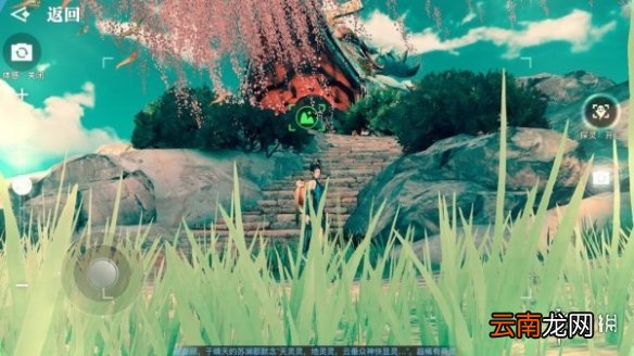 天谕手游拍照风景点有哪些 天谕手游美景入册风景点位置大全_星茸之森篇