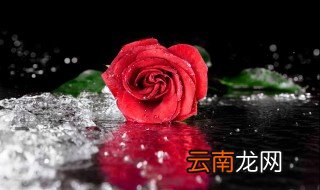 七月十四什么节 快来了解一下吧