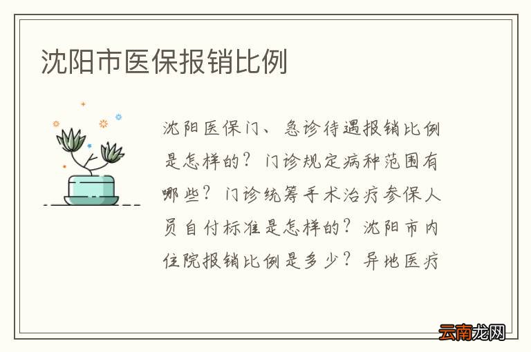 沈阳市医保报销比例