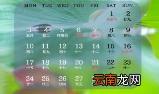 1989年是闰六月吗 你知道吗