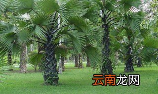 2021几月几号打春 你知道吗