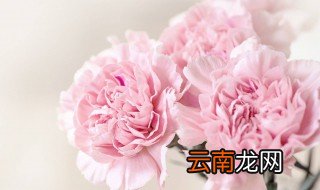 2018年母亲节是几月几号 应该送什么礼物呢