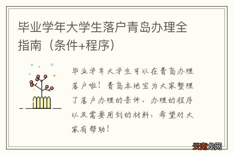 条件+程序 毕业学年大学生落户青岛办理全指南