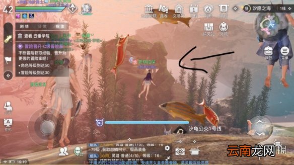 天谕手游水母之梦任务怎么做 天谕手游水母之梦任务攻略