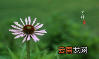 1992年芒种是几点几分 给大家解释一下
