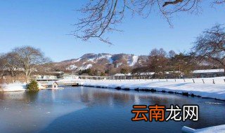 2019农历年是什么年 有立春吗