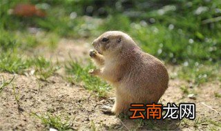 72年5月26号阳历是几号 1972年8月有什么大事件