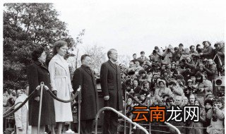 1979年12月28号是阴历多少 1979年属什么