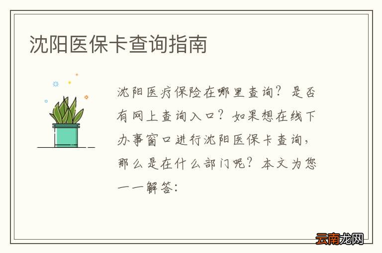 沈阳医保卡查询指南