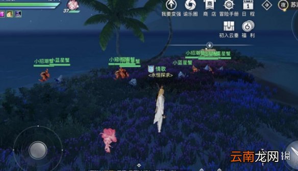 天谕手游红蓝大战怎么玩 天谕手游红蓝大战玩法攻略