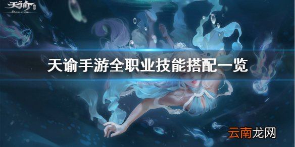 天谕手游全职业技能搭配推荐 天谕手游全职业PVP和PVE技能搭配一览_圣堂技能搭配