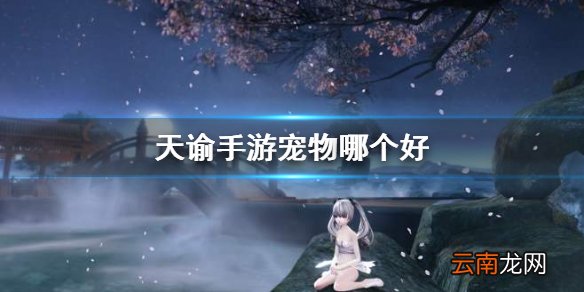 天谕手游宠物哪个好 天谕手游强力宠物推荐