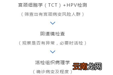 打了HPV疫苗还需要定期进行宫颈癌筛查吗？